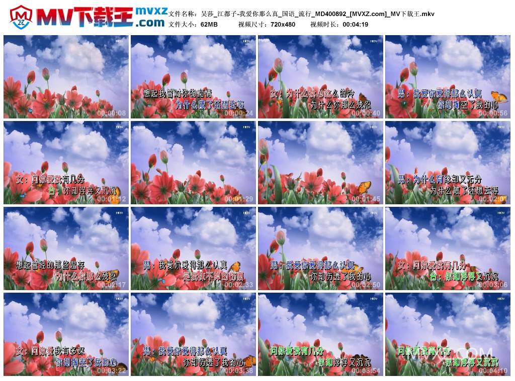 吴莎_江都子-我爱你那么真_国语_流行_MD400892